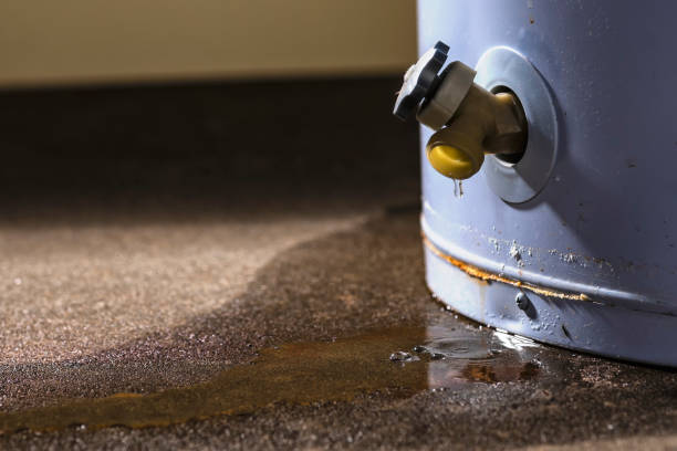 Best Professional water damage repair  in Lake Park, IA