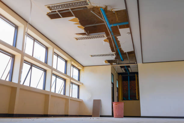 Reliable IA Water damage restoration Solutions