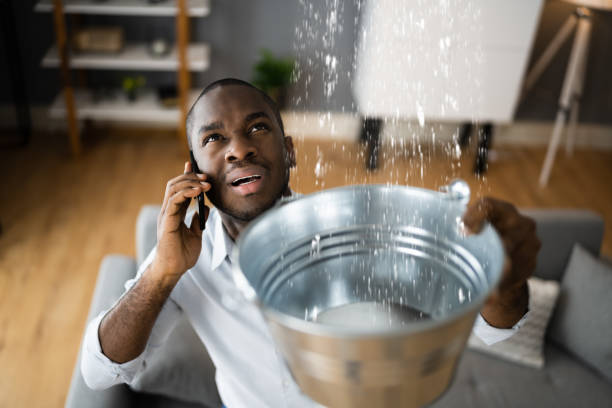 Best 24/7 water damage repair  in Lake Park, IA