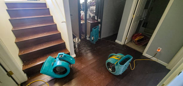 Best Residential water damage restoration  in Lake Park, IA
