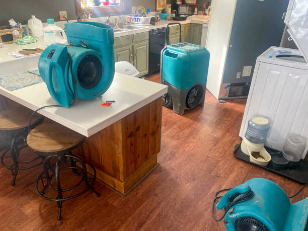 Best 24-hour water damage restoration  in Lake Park, IA