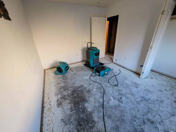 Best Water damage contractors near me  in Lake Park, IA