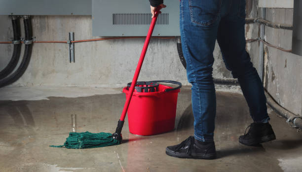Best Emergency water damage restoration  in Lake Park, IA
