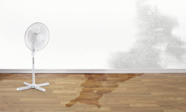 Best Fire Damage Restoration  in Lake Park, IA