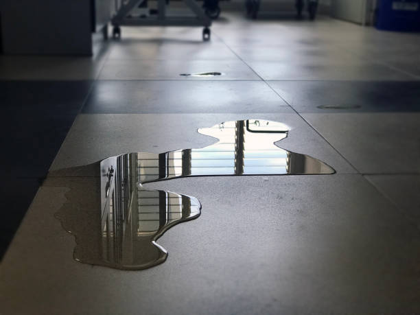 Best Water damage restoration near me  in Lake Park, IA