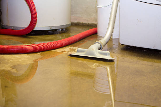 Best Professional water damage repair  in Lake Park, IA