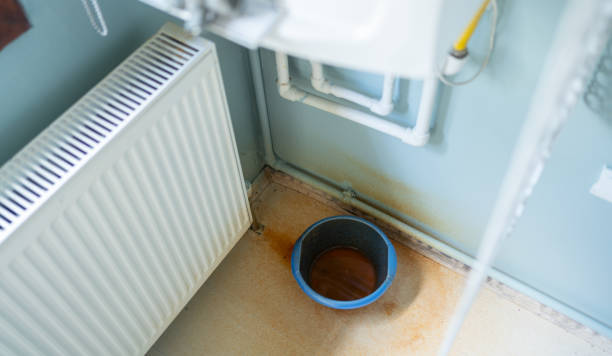 Best Water damage contractors near me  in Lake Park, IA