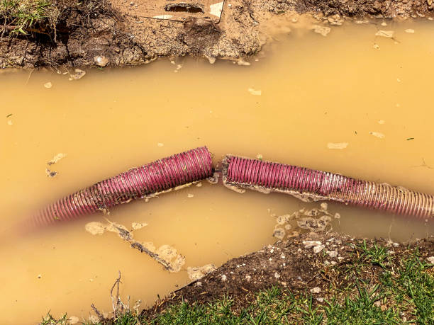 Best Carpet water damage restoration  in Lake Park, IA