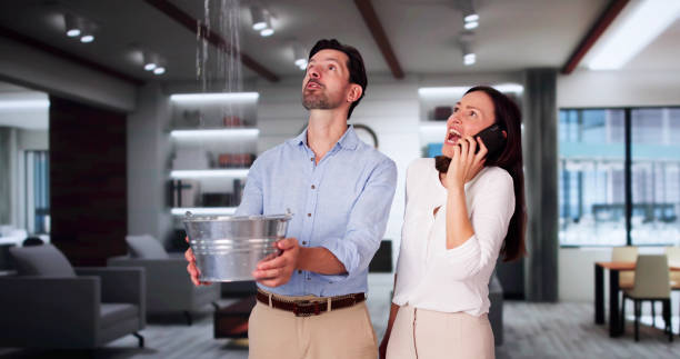 Best Sewage cleanup and water damage restoration  in Lake Park, IA