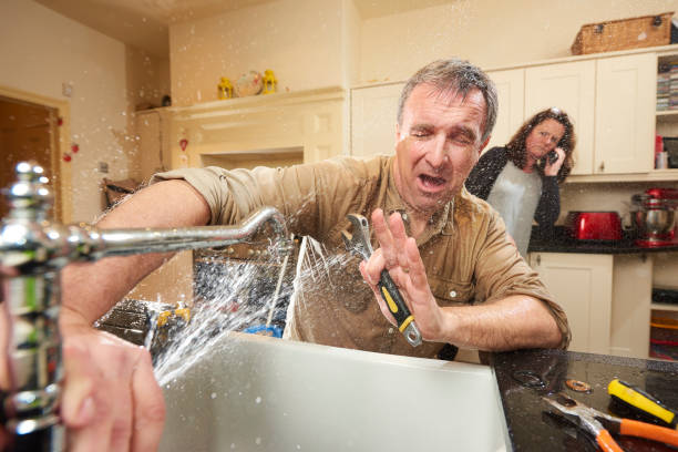 Best Water damage restoration services  in Lake Park, IA